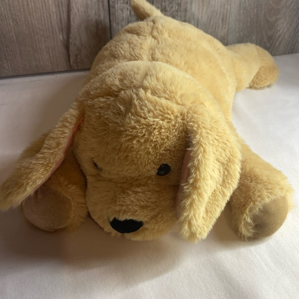 Two Blind Brothers “Guider” the golden treiver